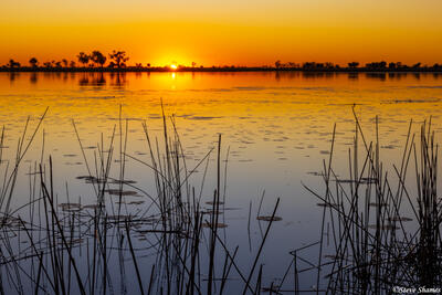 Botswana-Okavango Delta Sunset