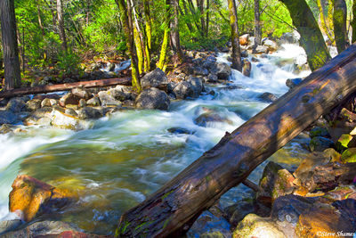 Bridalveil Creek