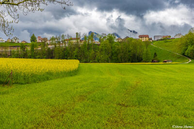 Broc Switzerland Scene