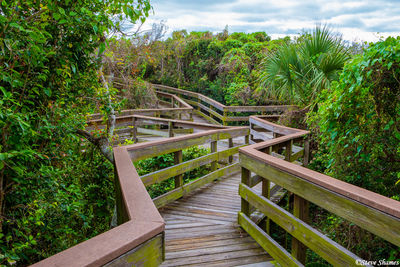 Canaveral National Seashore