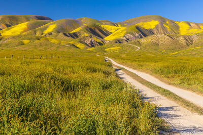 Carrizo Plain Road