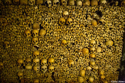 Catacombs of Paris
