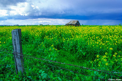 Catlett Road Barn