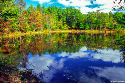 Cedar Pond, Land Between the Lakes