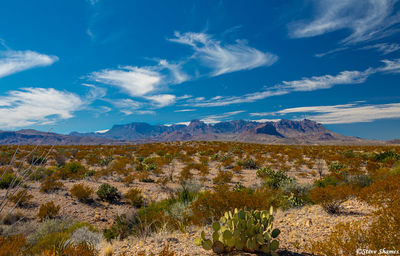 Chisos Mountains