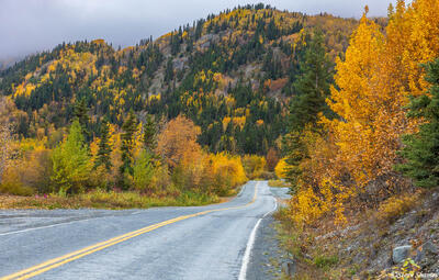 Chitina Alaska Fall Colors