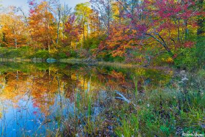 Clarksburg State Park Fall Colors