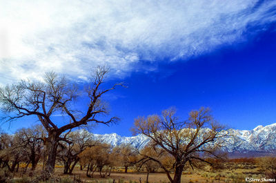 Clouds Over Sierras