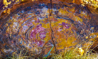 Colorful Wood