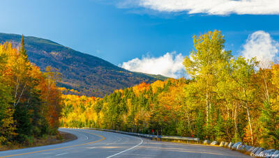 Crawford Notch Scene