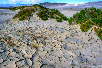 Death Valley Cracked Ground