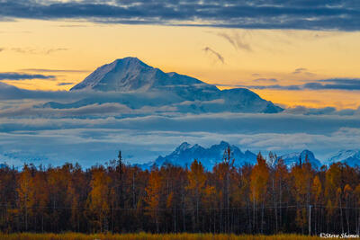 Denali Above Clouds