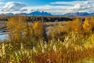 Denali Viewpoint