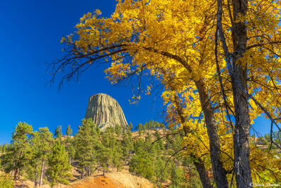 Devils Tower Fall Colors