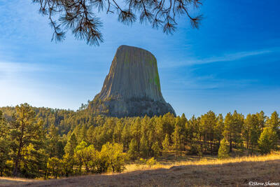 Devils Tower Morning