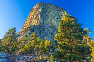 Devils Tower Sunset