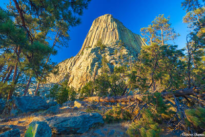 Devils Tower Trail