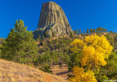 Devils Tower View