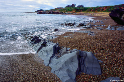 Dinosaur Bones Beach