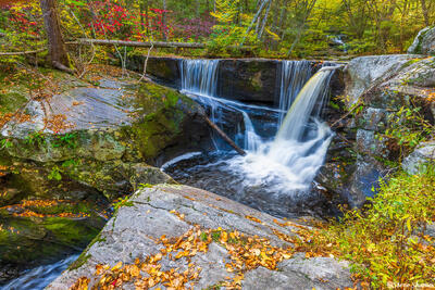 Enders State Forest