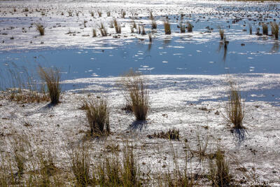 Etosha-Fishers Pan