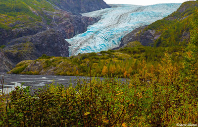 Exit Glacier