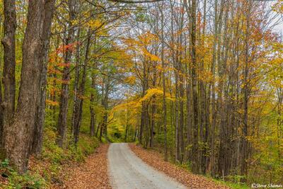 Fall Colors in Vermont