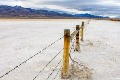 Fence Through Desert