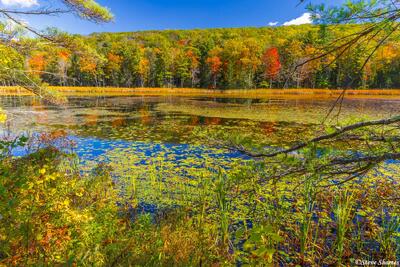 Fountain Pond State Park