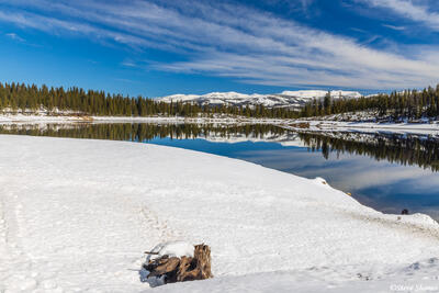 Fresh Sierra Snow