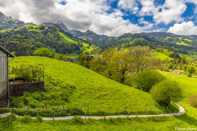 Gruyere Switzerland Countryside
