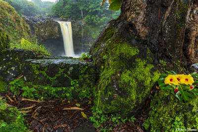 Hawaii Rainbow Falls