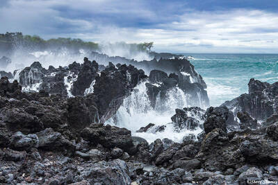 Hawaii Seashore