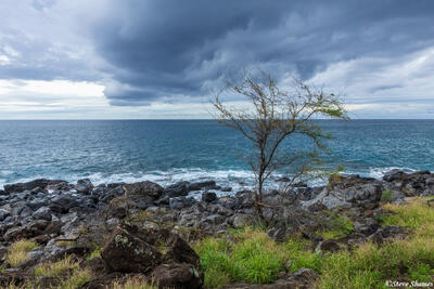Hawaii West Coast