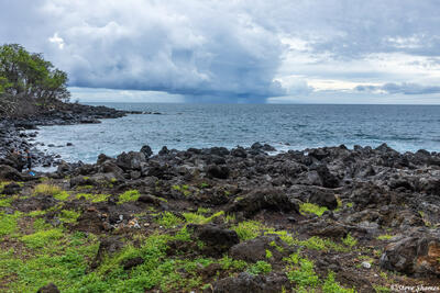 Hawaiian Lava Beach