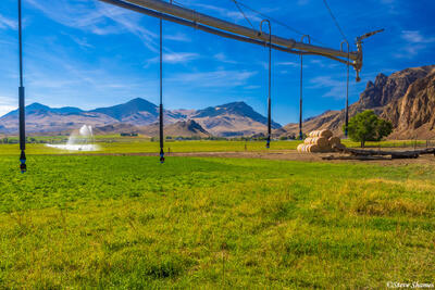 Idaho Agriculture