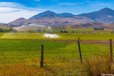Idaho Farm Scene