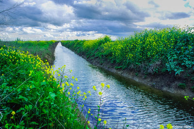 Irrigation Channel