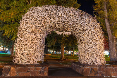 Jackson Antler Arch