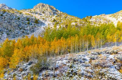June Lake Loop