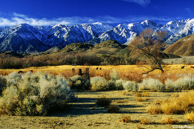 Just Outside of Lone Pine