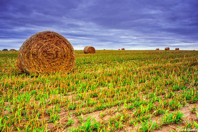 Kansas Bale of Hay