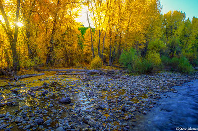 Ketchum Idaho Creek