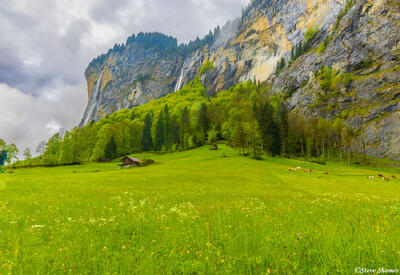 Lauterbrunnen Valley Farm Scene