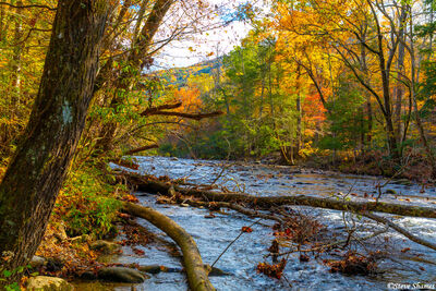 Little River Tennessee