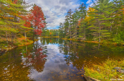 Lowell Lake State Park