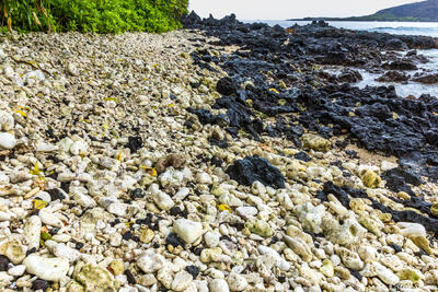 Manini Beach Hawaii