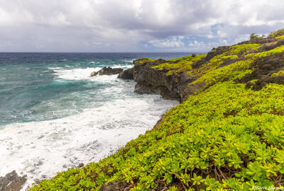 Maui Ocean Scene