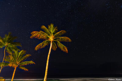 Maui Starry Night