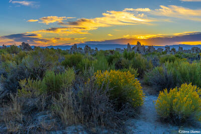 Mono Lake Sunrise